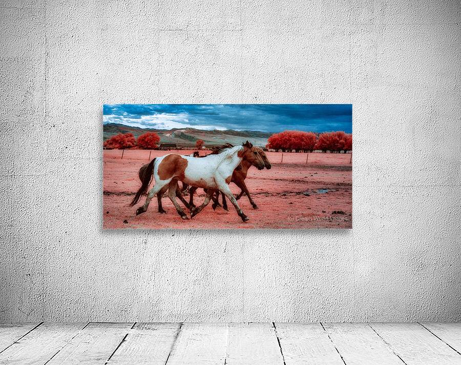 Thunders Dance   Wild Spirit Unleashed Wall Preview