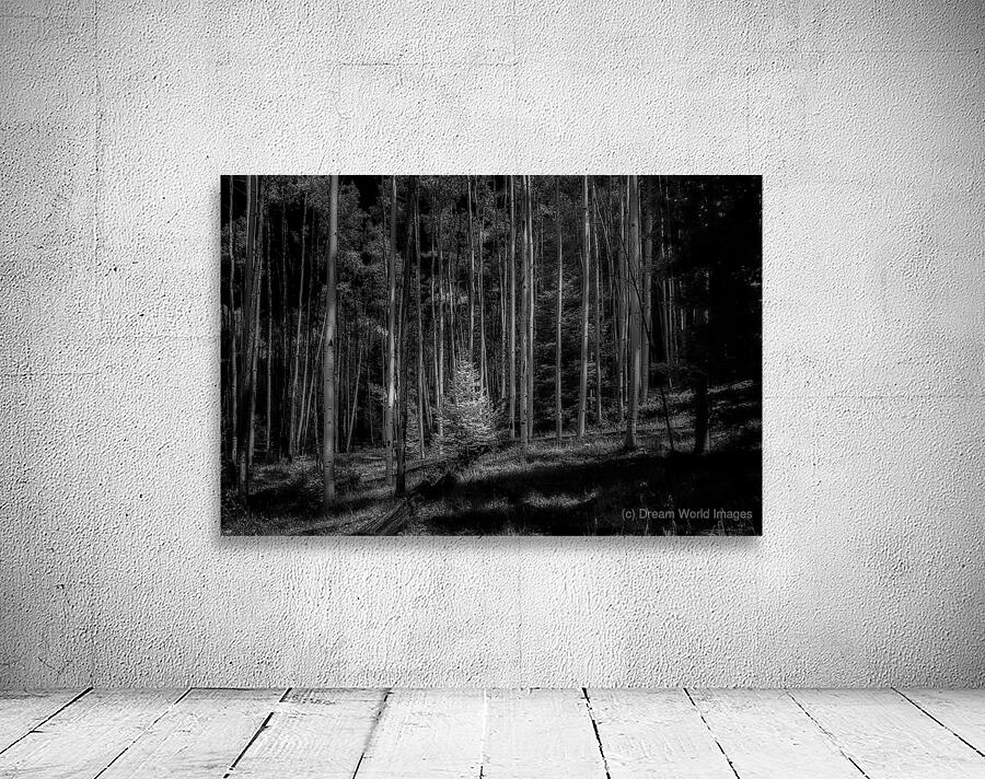 Infrared Luminescence on Artist Road Wall Preview