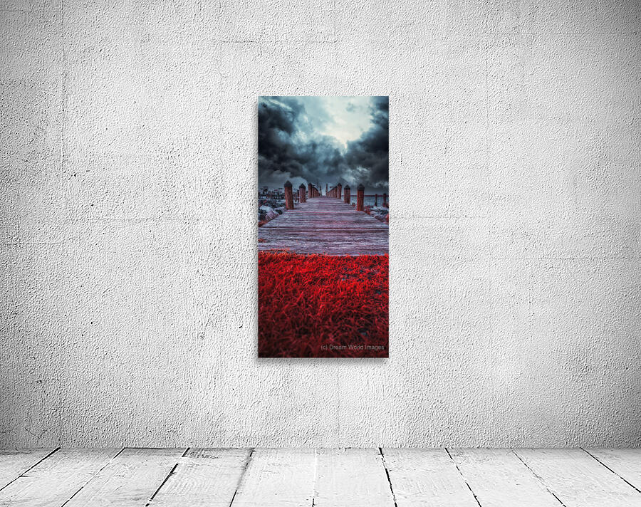 Storms Dance: A Memorable Infrared Moment on Brooms Island Maryl Wall Preview