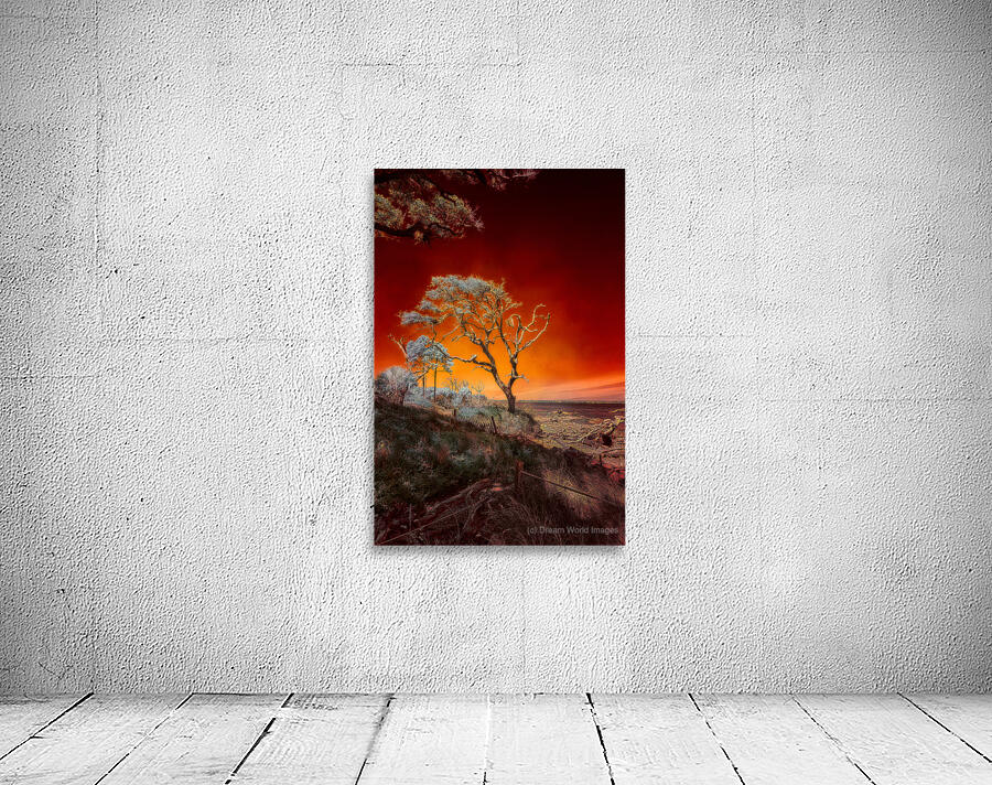 Ruby Bonsai: A Botanical Marvel Unveiled on Driftwood Beach Wall Preview