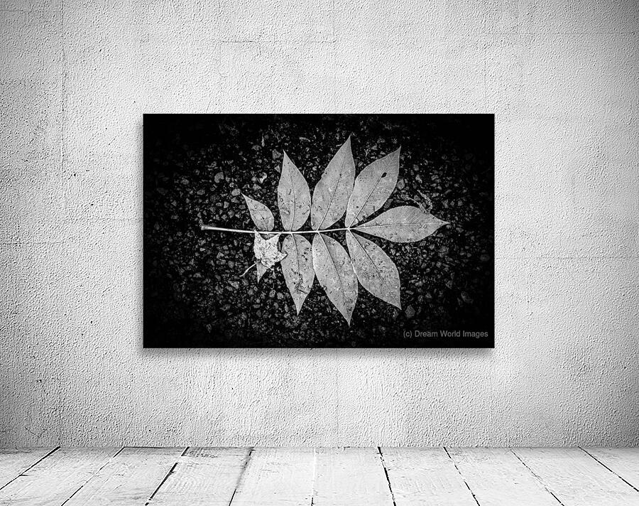 Autumns Solitude: Single Leaf Portrait Wall Preview