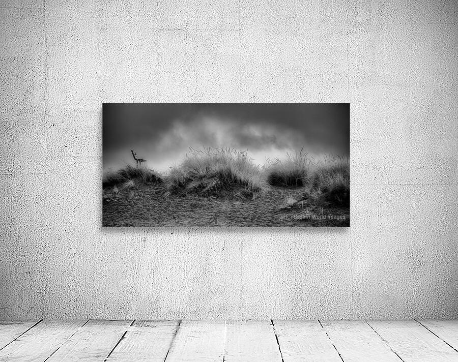 Contemplation Before the Storm Wall Preview