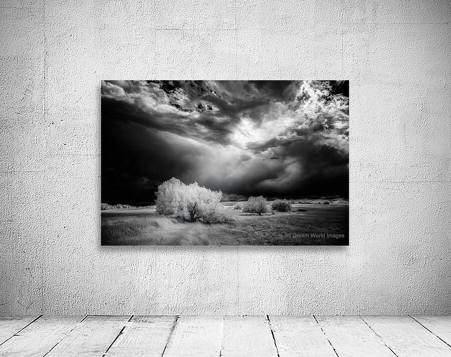 Divine Light   Wyoming Storm Theater Wall Preview