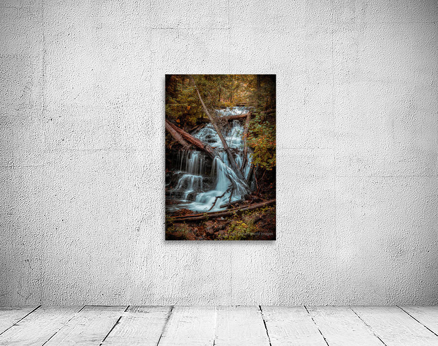 Autumns Liquid Symphony Wall Preview