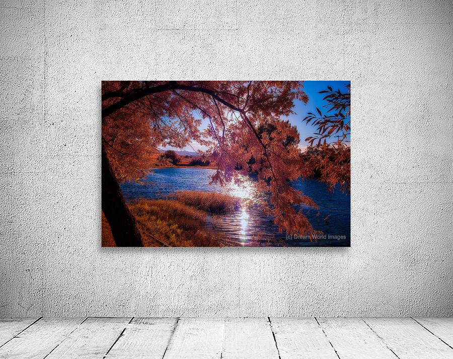 Copper Dreams at Lander Lake Wall Preview