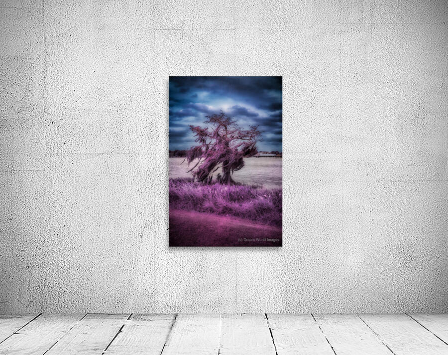 Purple Shelter: A Tranquil Stroll Through Venetian Gardens in Le Wall Preview