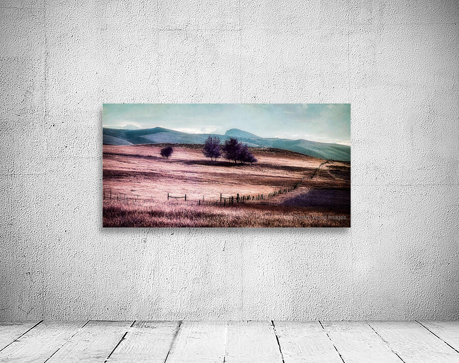 Lavender Dreams of the High Plains Wall Preview