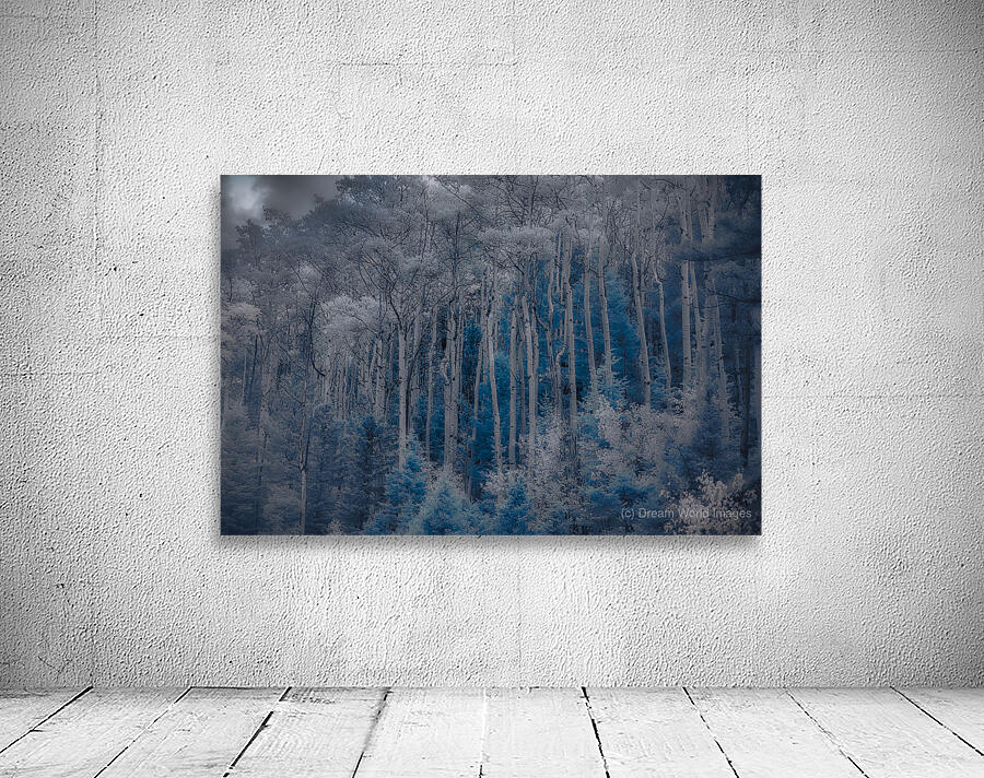 Ethereal Blue Amidst Monochrome Forest Wall Preview