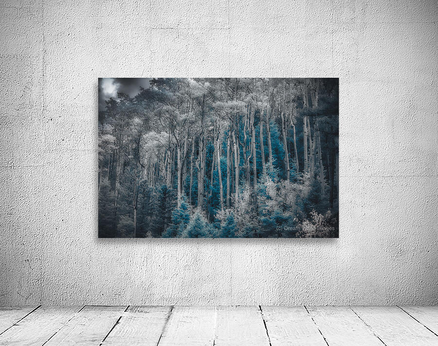 Ethereal Blue Amidst Monochrome Forest Wall Preview