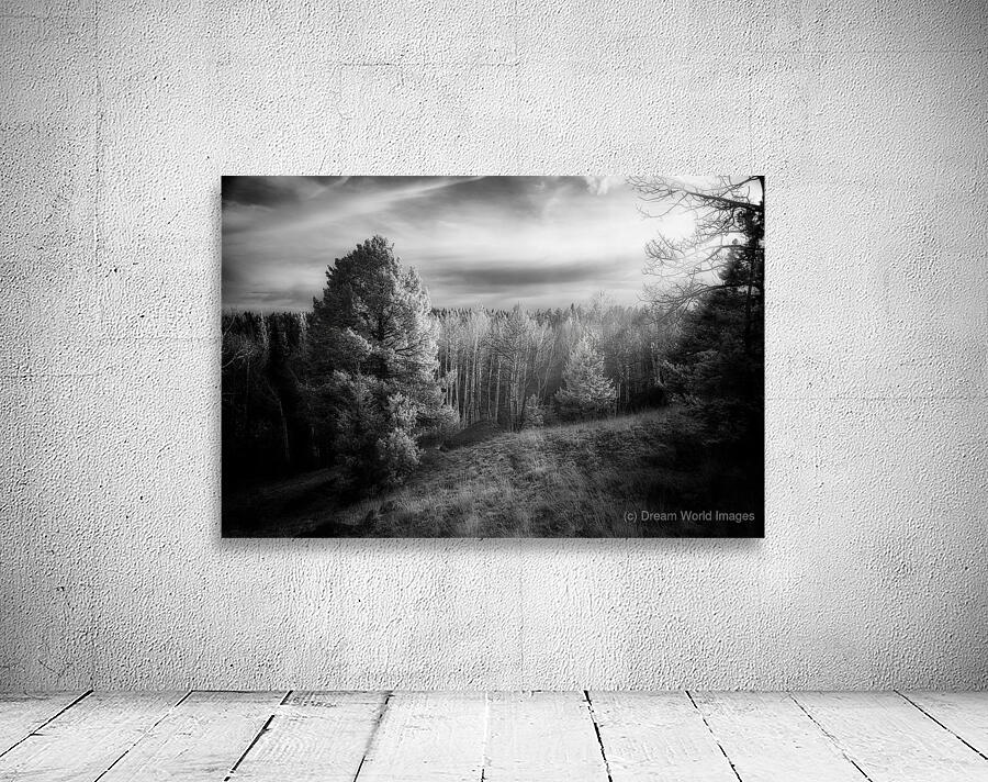 Mueller Aspen Series: Natures Finale Wall Preview