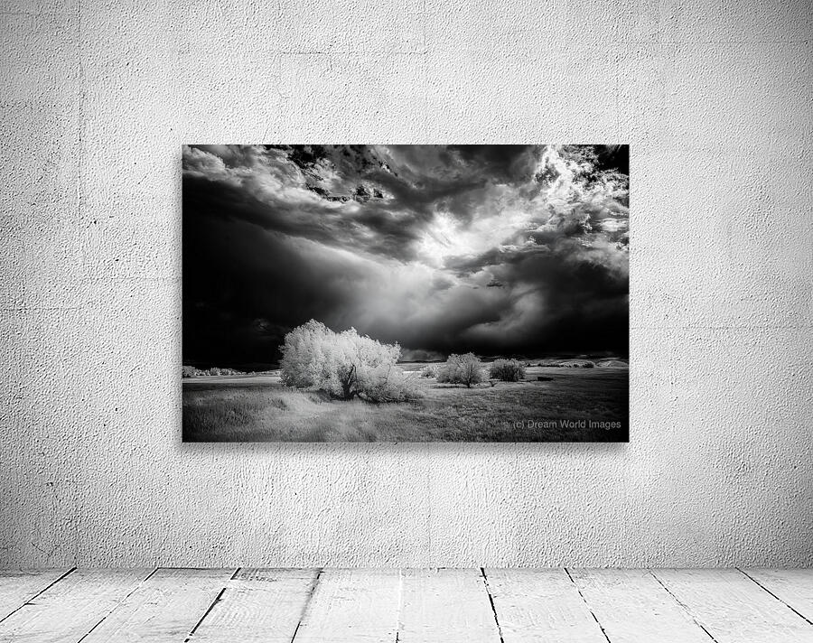 Divine Light   Wyoming Storm Theater Wall Preview