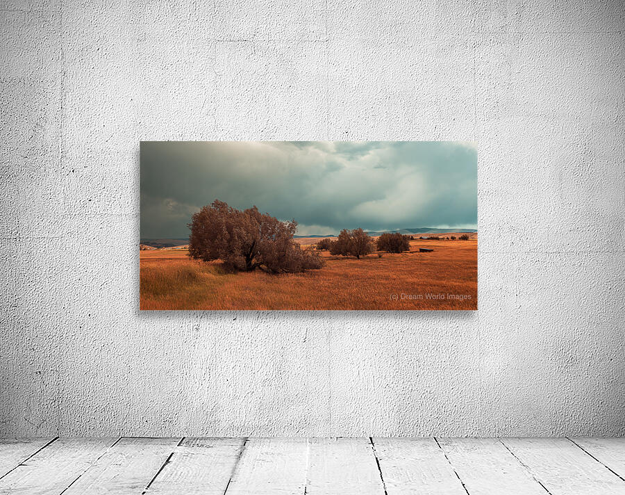 Storms Edge - Wyoming Solitude Wall Preview