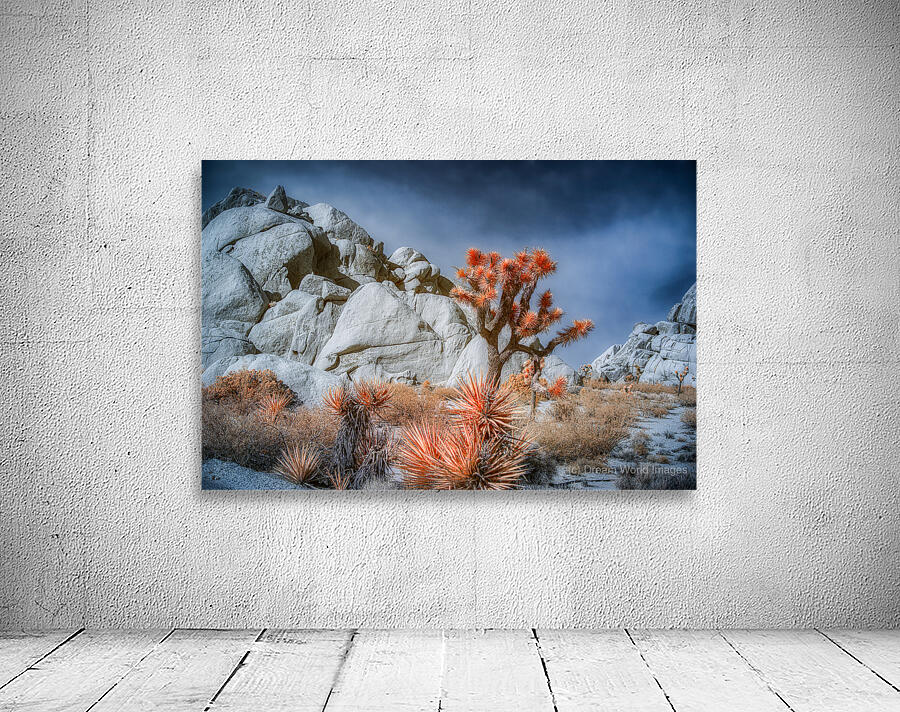 Desert Canvas of Fire and Stone Wall Preview