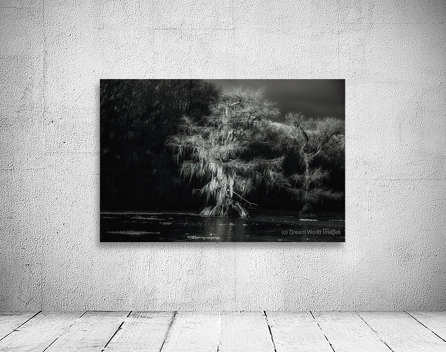 Luminous Spirits Wall Preview