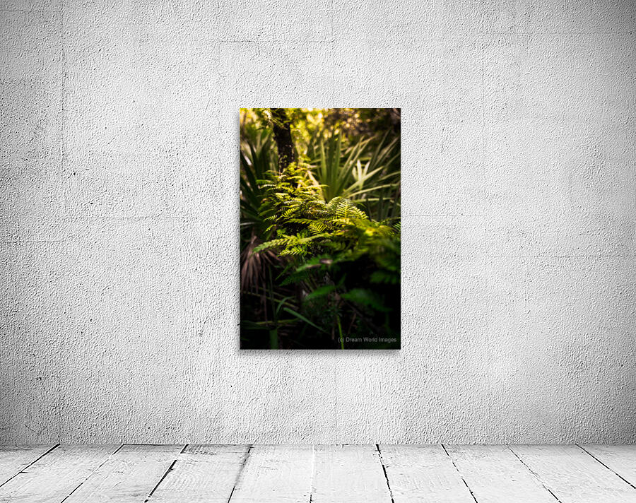 Emerald Awakening: Ferns in the Morning Light Wall Preview