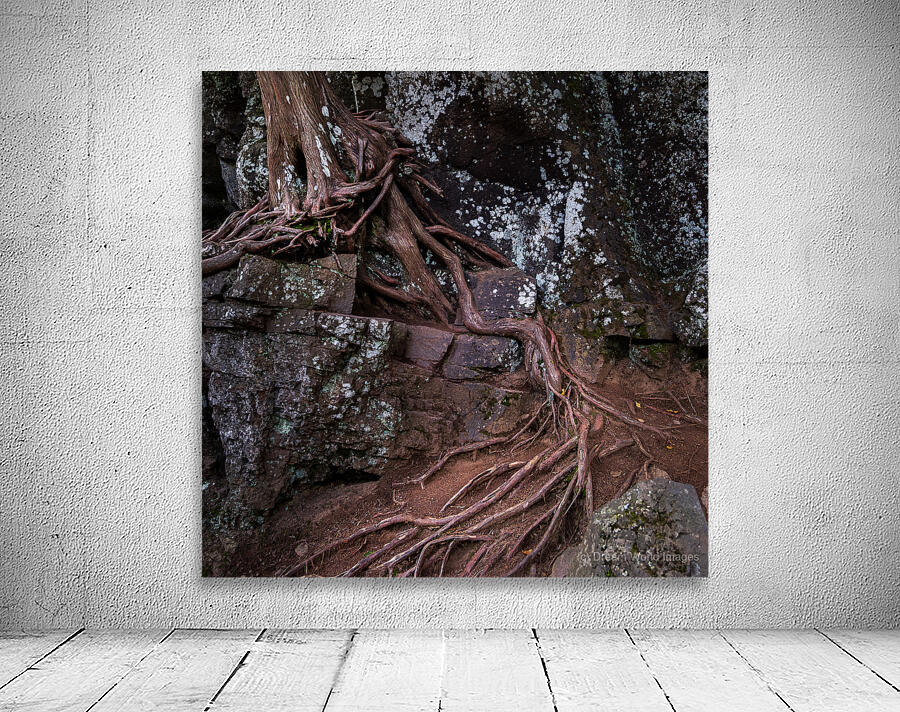 Ancient Bonds of Stone and Root Wall Preview