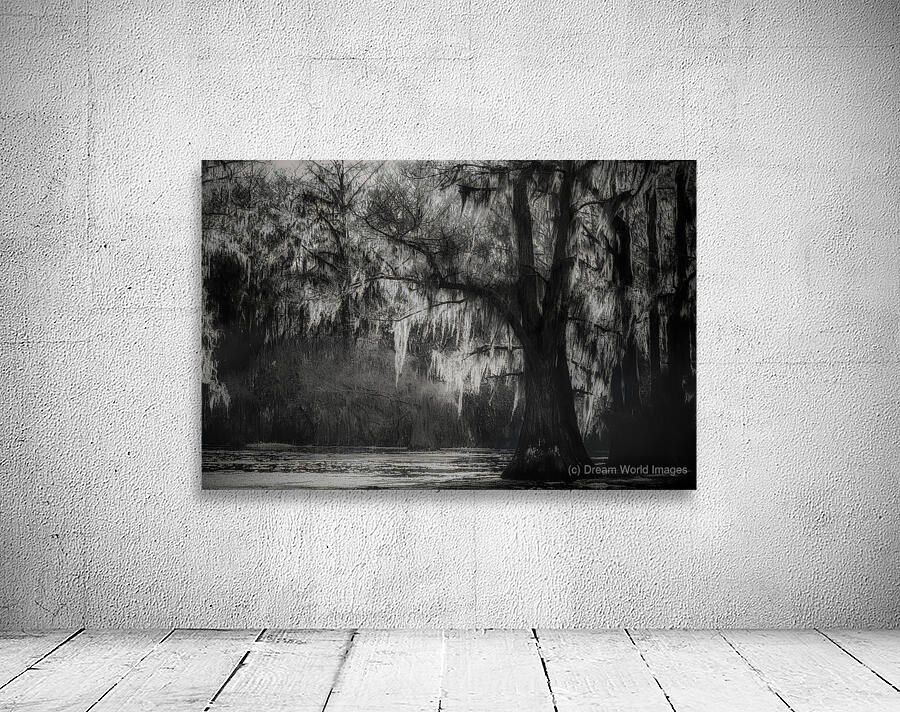 Veils of Time Wall Preview