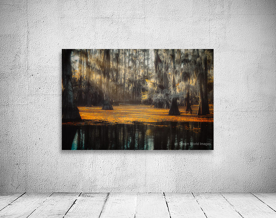 Amber Awakening Wall Preview