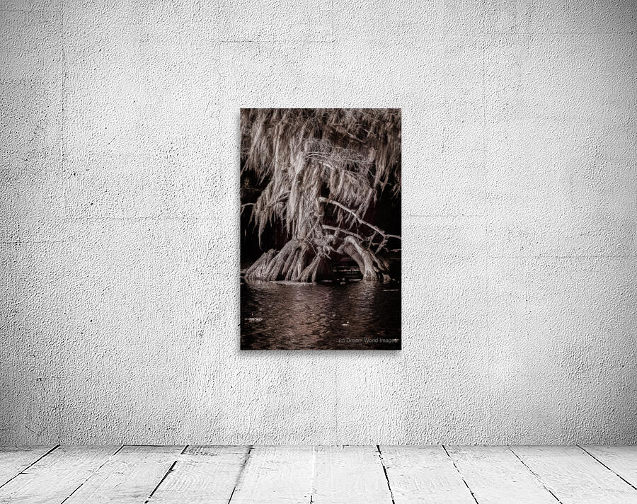 Sentinel of the Swamp Wall Preview