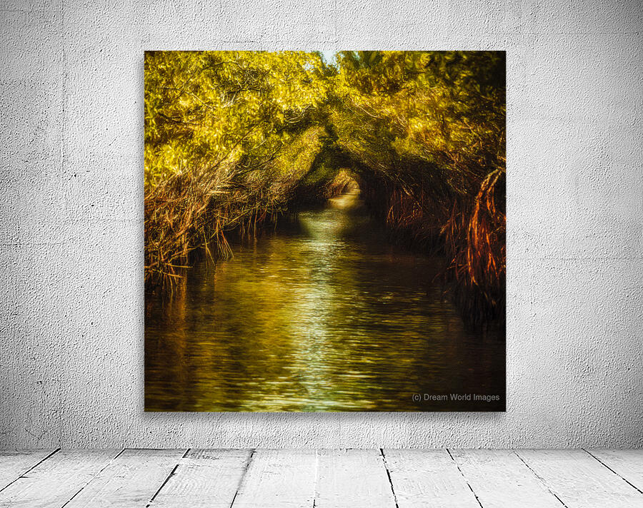 Tunnel of Ten Thousand Islands Wall Preview