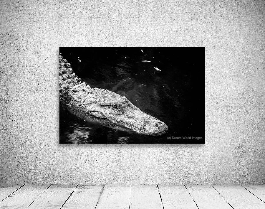 Old Eyes Dark Water Wall Preview