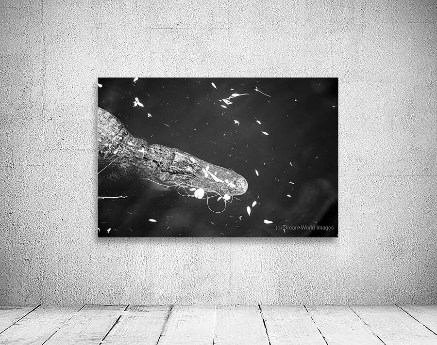 Drift Then Silence Wall Preview