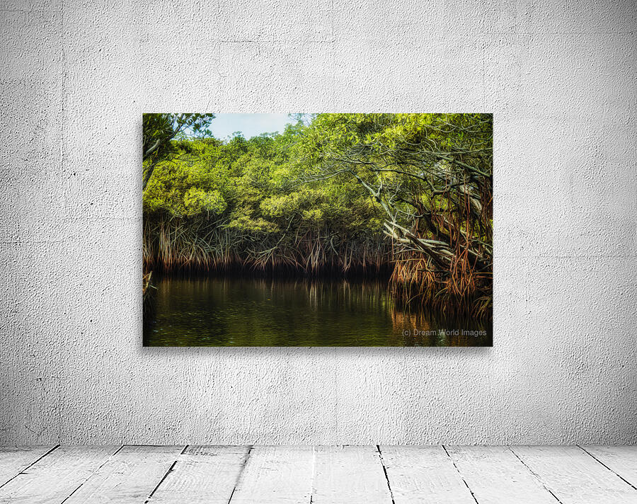 Where the Mangroves Whisper Wall Preview