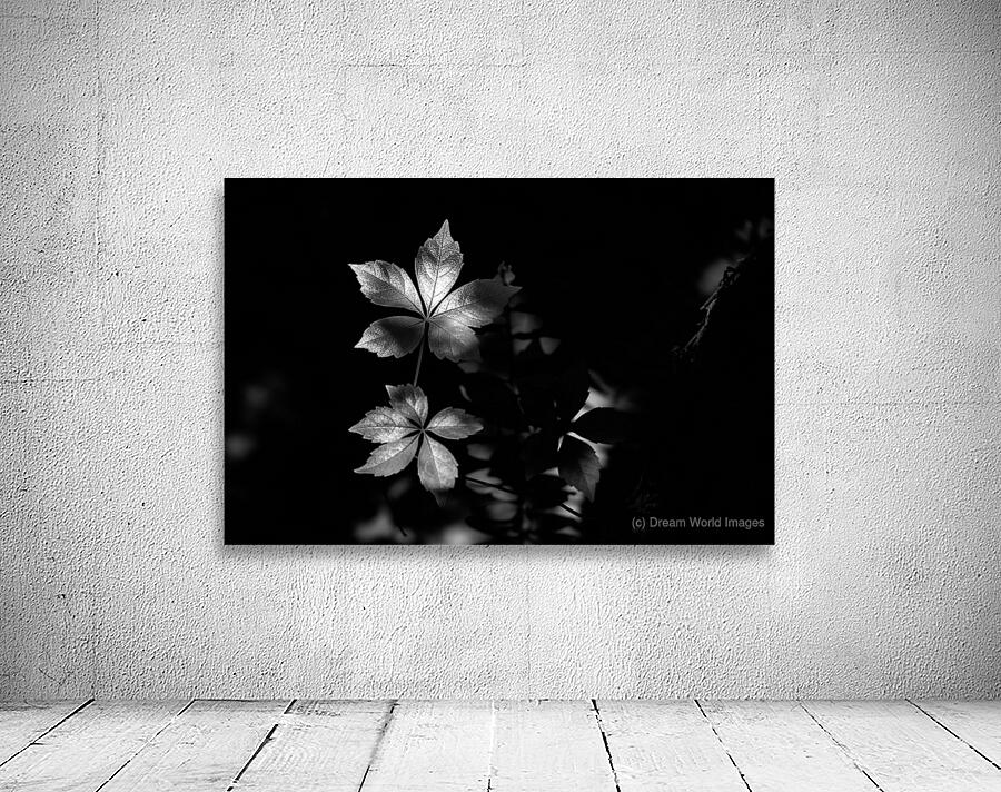 The Leaf That Floats Wall Preview