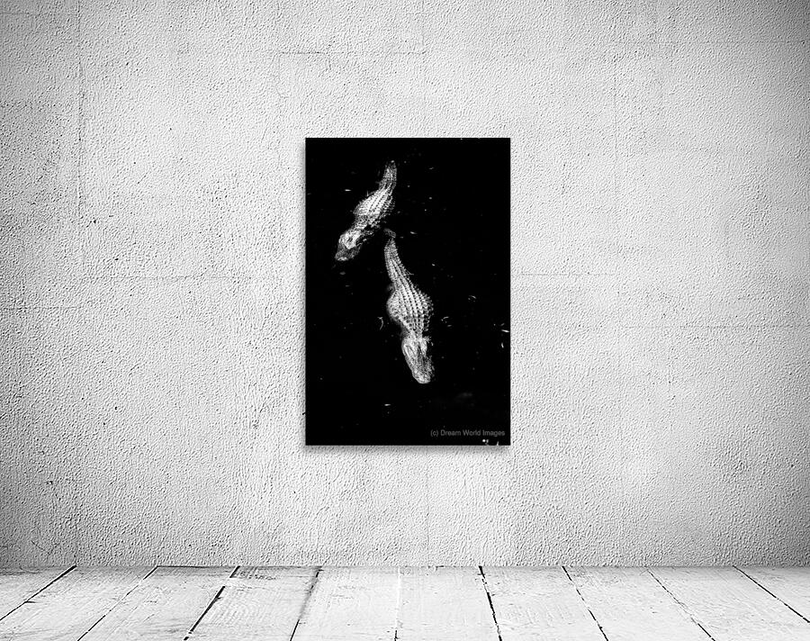 Two Shadows One Current Wall Preview