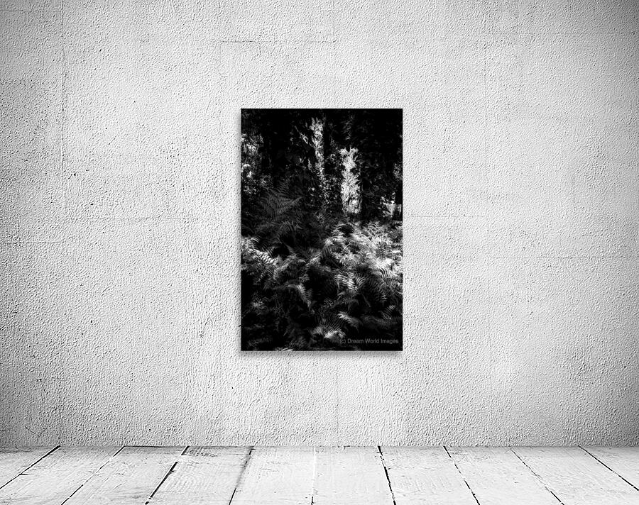 Fernlight Wall Preview