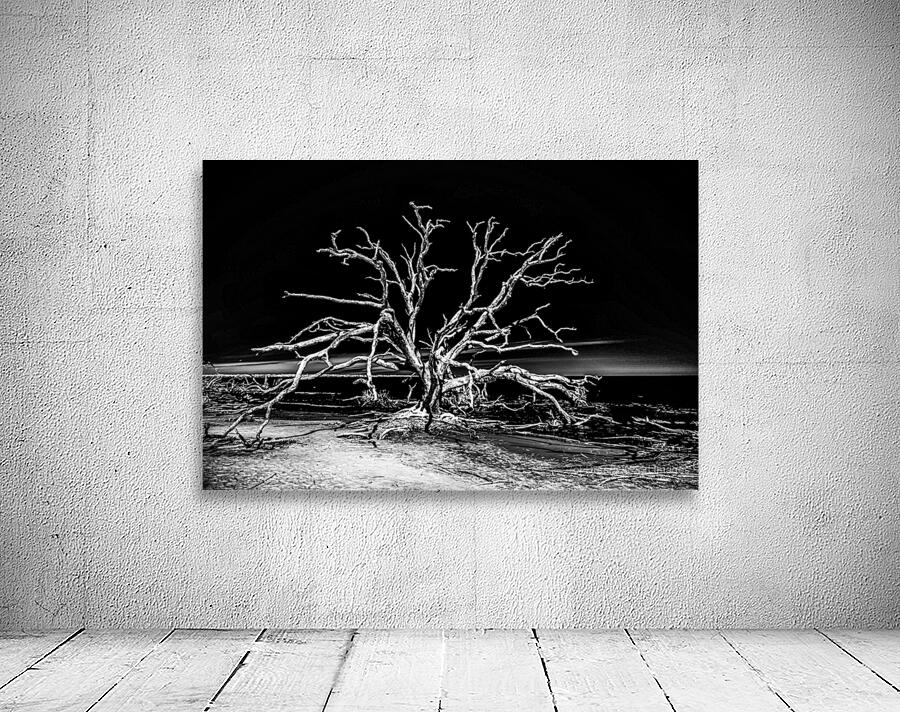 Ghost Dancer  Wall Preview