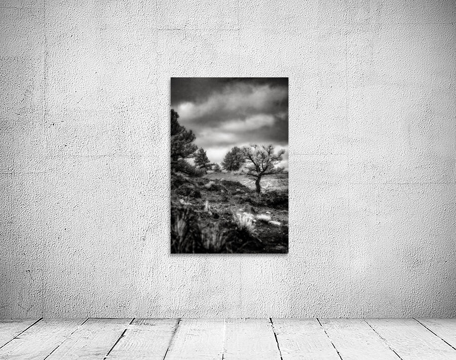 Solitude Unveiled: A Mystical Wyoming Lone Tree at Guernsey State Park Wall Preview