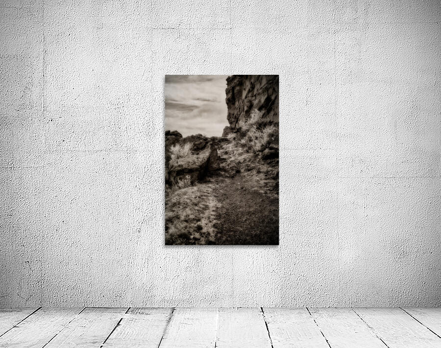 Silent Testaments of the Trail Wall Preview