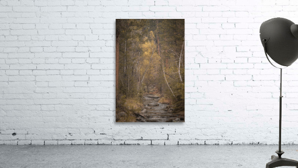 Black Hills Melody Wall Preview