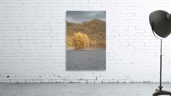 Stockade Lake Tree Island Wall Preview