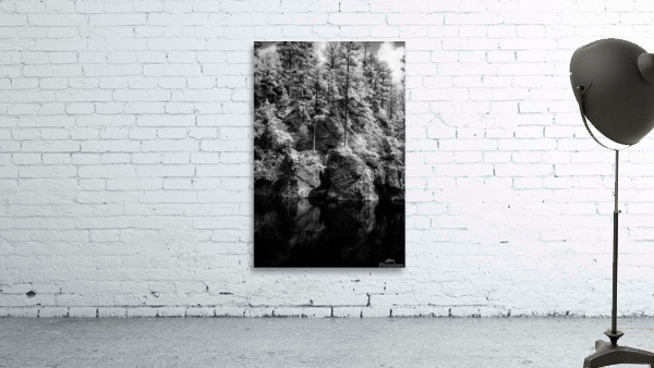 Pond Rock Wall Trees Wall Preview