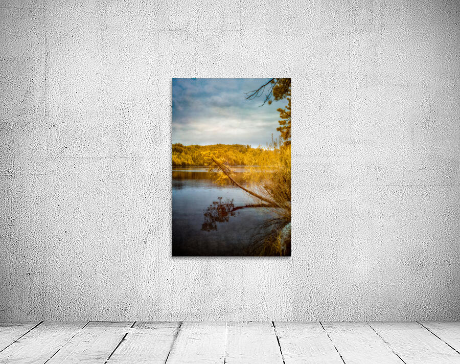 Shadows and Reflections: Overhanging Trees on Center Lake Wall Preview