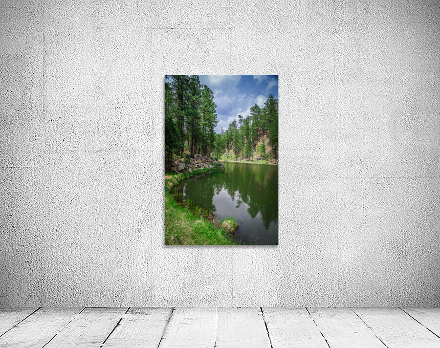 Whispers of Nature: Exploring Grace Coolidge Lakes Serenade of Silence Wall Preview