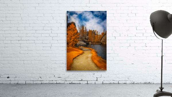  Autumnal Serenity: Sylvan Lake Path in Infrared Wall Preview