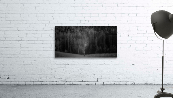 Lighted Aspen Wall Preview