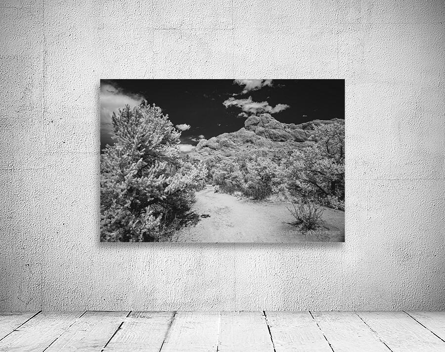 Garden Path - 2 Wall Preview