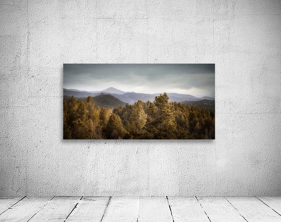 Mueller Aspen Series: Mountain View Wall Preview