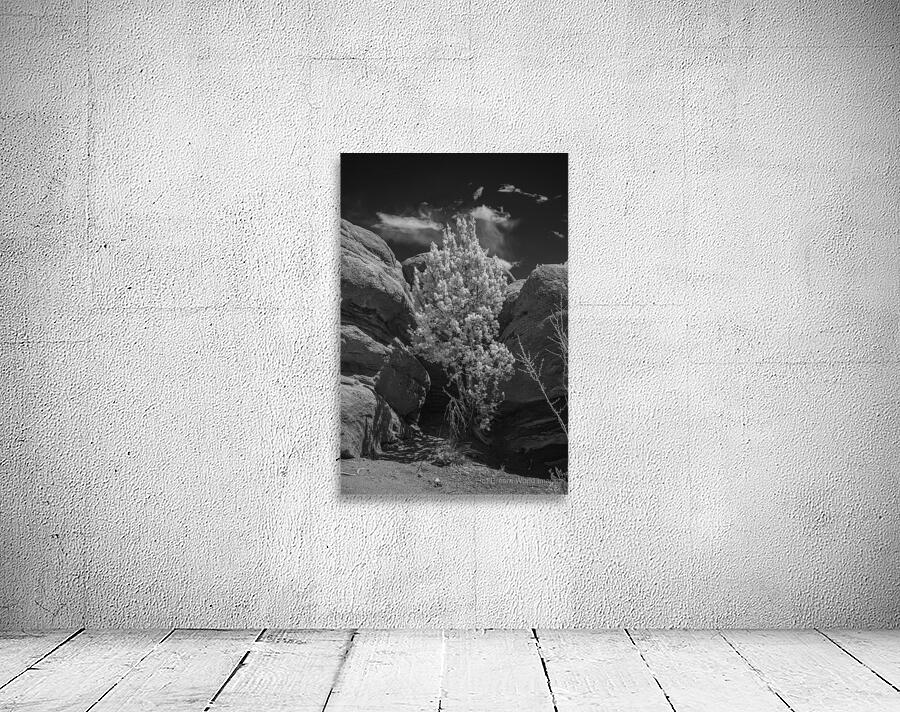 Rock Tree Wall Preview