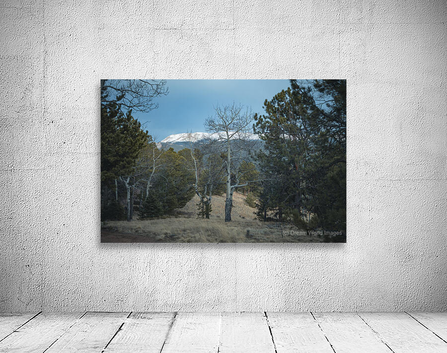 Mountain Meadow Serenity Wall Preview