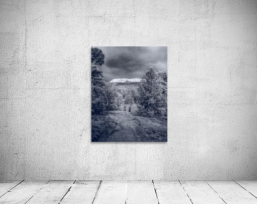 Mueller Aspen Series: Mountain Trail Tranquility Wall Preview