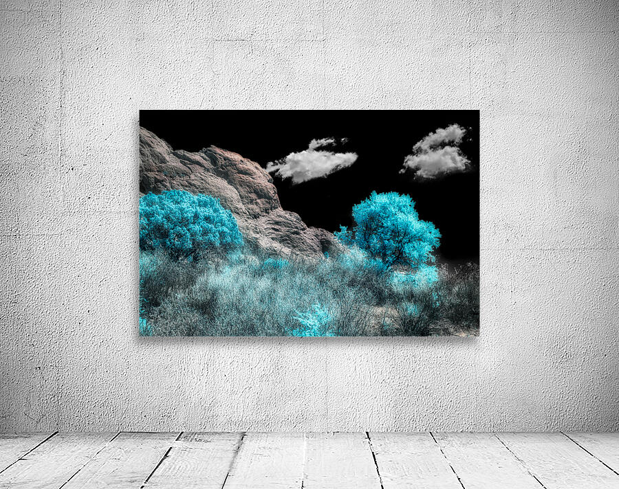 Majestic Rock Wall: Exploring Garden of the Gods Blue Mountain Trees Wall Preview