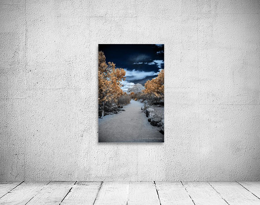 Garden Path Wall Preview