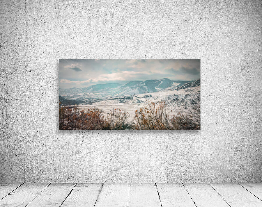 March Marvels: Exploring Dinosaur Ridge Wall Preview