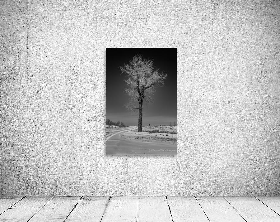 Winters Solitary Sentinel Wall Preview