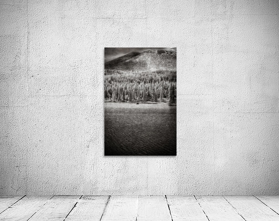 Enchanted Wilderness: Moose Haven in Rocky Mountain Park Wall Preview